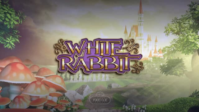 white_rabbit_image